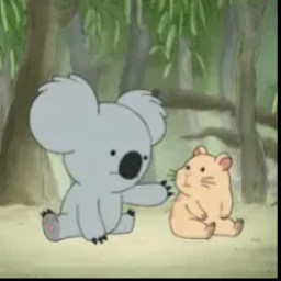 KoalaADAM
